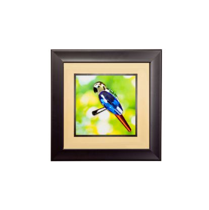 IL70509  Nature Parrot Crystal Art